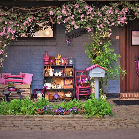 Maison Jeanny, Full House With Big Garden Frasnes-lez-Anvaing المظهر الخارجي الصورة