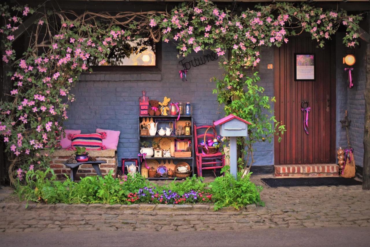 Maison Jeanny, Full House With Big Garden Frasnes-lez-Anvaing المظهر الخارجي الصورة