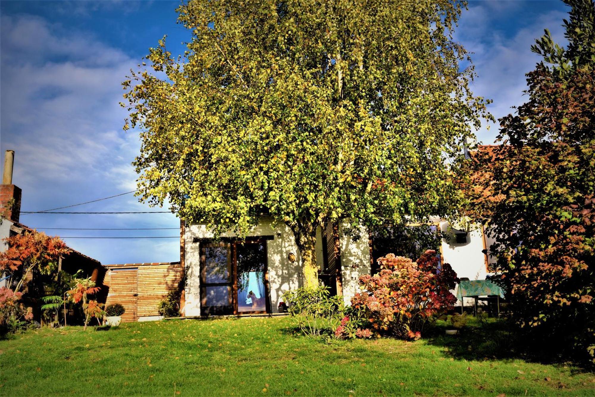 Maison Jeanny, Full House With Big Garden Frasnes-lez-Anvaing المظهر الخارجي الصورة